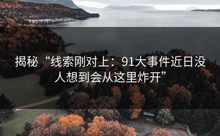 揭秘“线索刚对上：91大事件近日没人想到会从这里炸开”