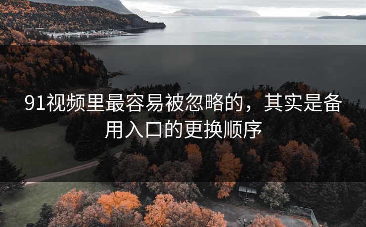 91视频里最容易被忽略的，其实是备用入口的更换顺序