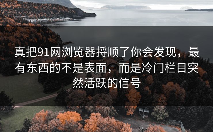 真把91网浏览器捋顺了你会发现，最有东西的不是表面，而是冷门栏目突然活跃的信号