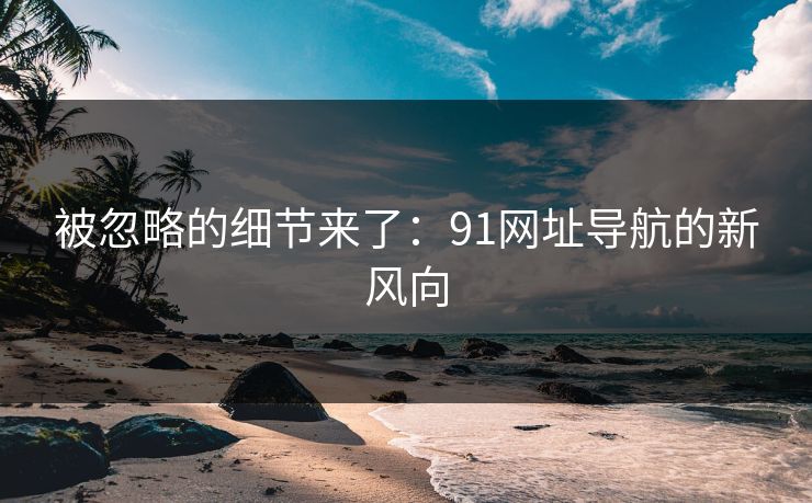 被忽略的细节来了：91网址导航的新风向