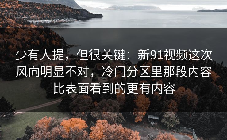 少有人提，但很关键：新91视频这次风向明显不对，冷门分区里那段内容比表面看到的更有内容