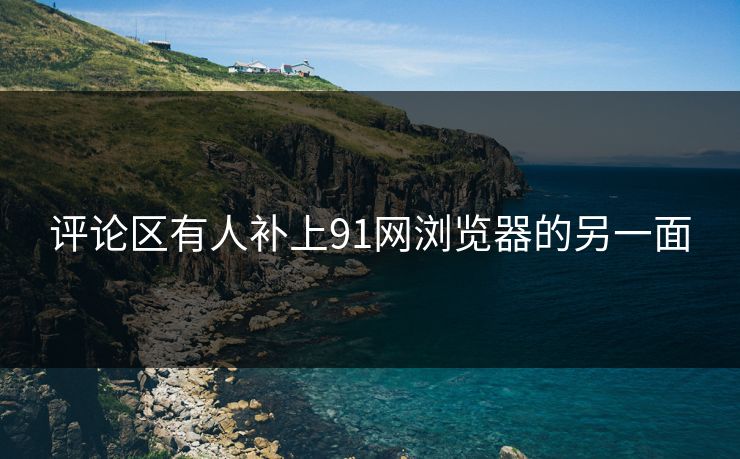 评论区有人补上91网浏览器的另一面