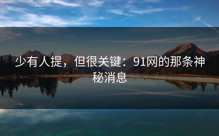 少有人提，但很关键：91网的那条神秘消息
