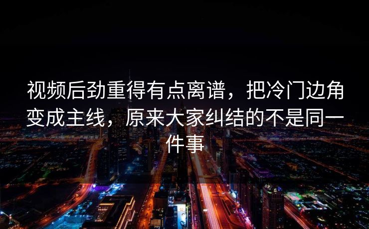 视频后劲重得有点离谱，把冷门边角变成主线，原来大家纠结的不是同一件事