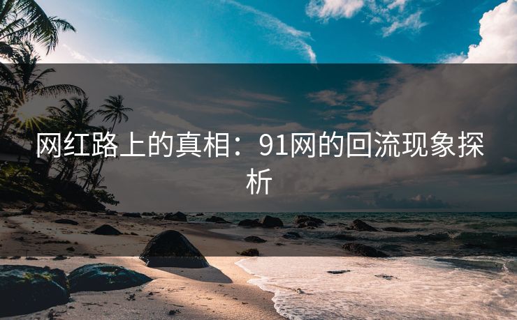 网红路上的真相：91网的回流现象探析