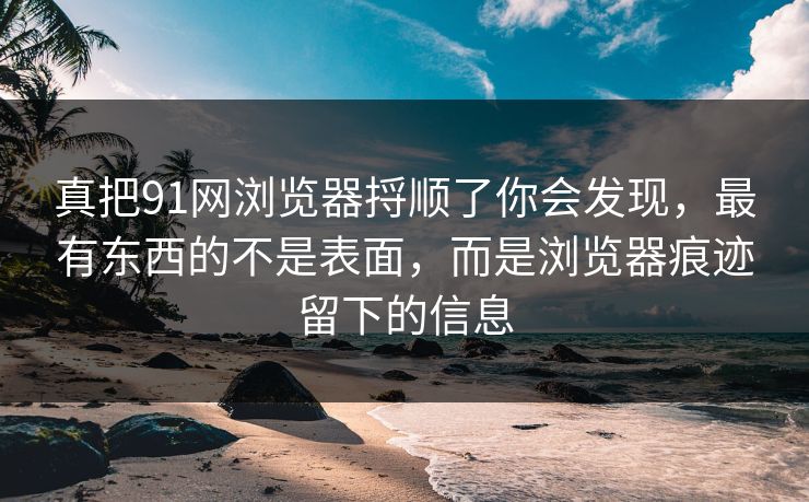 真把91网浏览器捋顺了你会发现,最有东西的不是表面,而是浏览器痕迹留下的信息